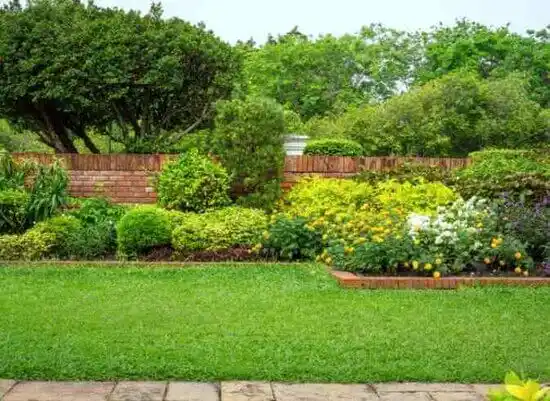 landscaping services Baltimore